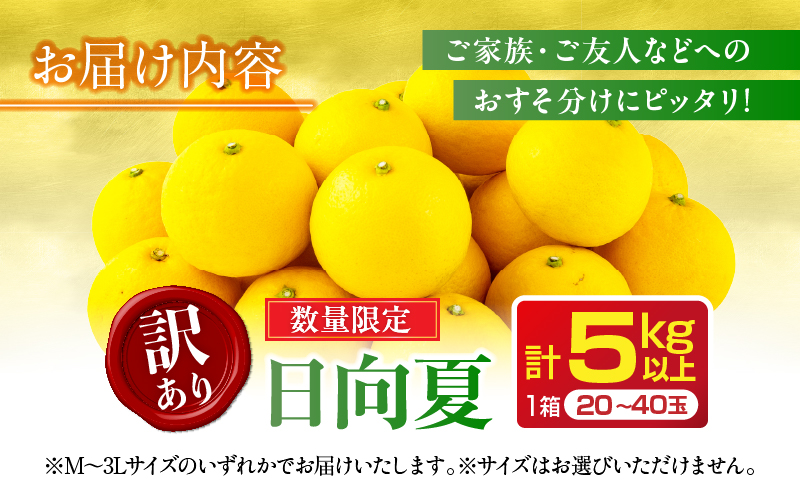 先行予約 訳あり 日向夏 計5kg以上 期間限定 数量限定 果物 フルーツ くだもの 柑橘 みかん 令和8年発送 ジュース フルーツサンド おやつ デザート 国産 食品 おすすめ バラ詰め おすそ分け ご家庭用 手土産 宮崎県 日南市 送料無料_BB98-23