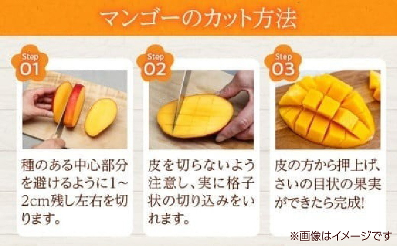 数量限定 完熟マンゴー 3L×2玉 フルーツ 果物 くだもの 国産 期間限定 先行予約 食品 デザート おやつ 人気 おすすめ おすそ分け ご褒美 お祝 お取り寄せ グルメ 産地直送 お土産 ギフト プレゼント 贈り物 贈答品 宮崎県 日南市 送料無料_DD8-23