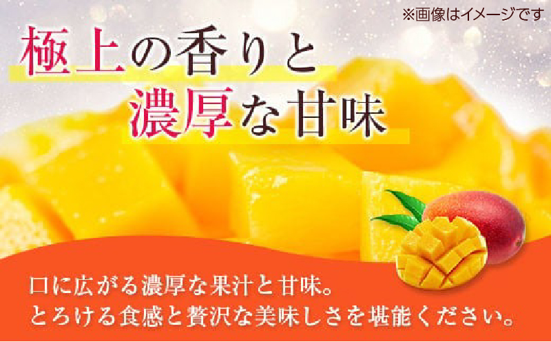 数量限定 完熟マンゴー 3L×2玉 フルーツ 果物 くだもの 国産 期間限定 先行予約 食品 デザート おやつ 人気 おすすめ おすそ分け ご褒美 お祝 お取り寄せ グルメ 産地直送 お土産 ギフト プレゼント 贈り物 贈答品 宮崎県 日南市 送料無料_DD8-23