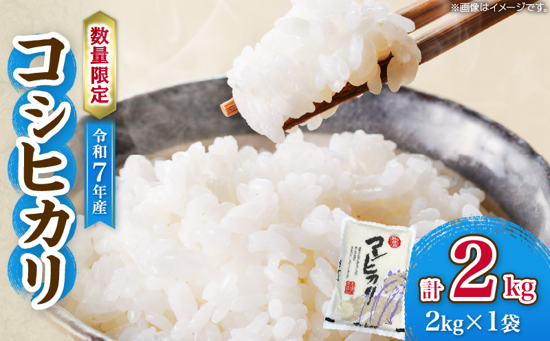 令和7年産 コシヒカリ 計2kg お米 ご飯 ライス 国産 数量限定 人気 食品 精米 白米 こしひかり 有洗米 おにぎり お弁当 炊き込みご飯 雑炊 ギフト プレゼント 贈り物 お取り寄せ 産地直送 宮崎県 日南市 送料無料_ZZ26-25