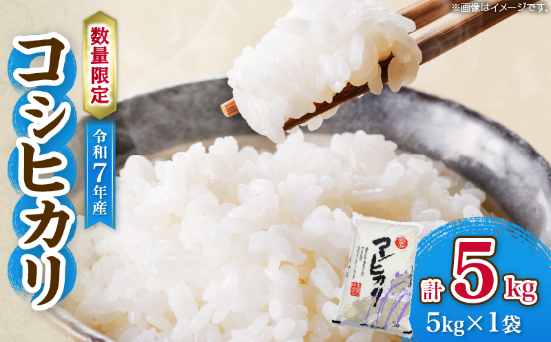 令和7年産 コシヒカリ 計5kg お米 ご飯 ライス 国産 数量限定 期間限定 人気 食品 精米 白米 こしひかり 有洗米 おにぎり お弁当 炊き込みご飯 雑炊 ギフト プレゼント 贈り物 お取り寄せ 産地直送 宮崎県 日南市 送料無料_BB168-25