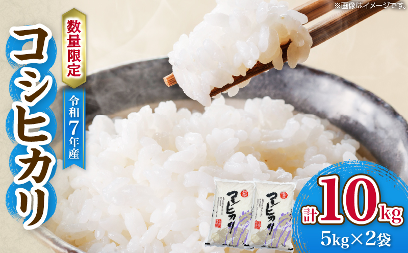 令和7年産 コシヒカリ 計10kg お米 ご飯 ライス 国産 数量限定 期間限定 人気 食品 精米 白米 こしひかり 有洗米 おにぎり お弁当 炊き込みご飯 雑炊 ギフト プレゼント 贈り物 お取り寄せ 産地直送 宮崎県 日南市 送料無料_DD19-25