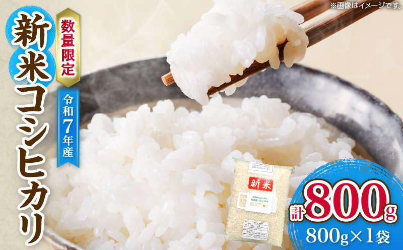 令和7年産 新米 コシヒカリ 計800g お米 ご飯 ライス 国産 数量限定 人気 食品 精米 白米 こしひかり 有洗米 おにぎり お弁当 炊き込みご飯 雑炊 ギフト プレゼント 贈り物 お取り寄せ 産地直送 宮崎県 日南市 送料無料_ZVV2-25