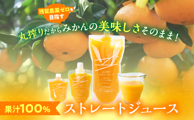 果汁 100％ まる搾り みかん ジュース 1000ml×3本 機能性表示食品 飲料 ソフトドリンク 果物 フルーツ 柑橘 ミカン シャーベット 国産 人気 おすすめ ギフト おすそ分け お土産 贈り物 プレゼント お取り寄せ 宮崎県 日南市 送料無料_BD62-22