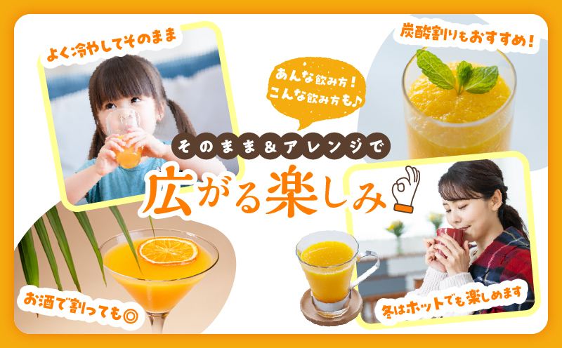 果汁 100％ まる搾り みかん ジュース 1000ml×3本 機能性表示食品 飲料 ソフトドリンク 果物 フルーツ 柑橘 ミカン シャーベット 国産 人気 おすすめ ギフト おすそ分け お土産 贈り物 プレゼント お取り寄せ 宮崎県 日南市 送料無料_BD62-22