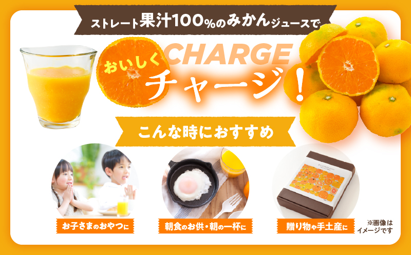 果汁 100％ まる搾り みかん ジュース 1000ml×3本 機能性表示食品 飲料 ソフトドリンク 果物 フルーツ 柑橘 ミカン シャーベット 国産 人気 おすすめ ギフト おすそ分け お土産 贈り物 プレゼント お取り寄せ 宮崎県 日南市 送料無料_BD62-22