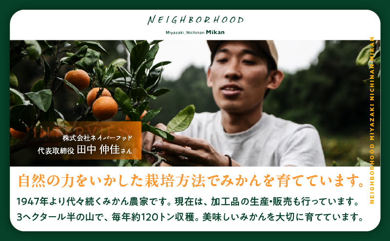 果汁 100％ まる搾り みかん ジュース 1000ml×3本 機能性表示食品 飲料 ソフトドリンク 果物 フルーツ 柑橘 ミカン シャーベット 国産 人気 おすすめ ギフト おすそ分け お土産 贈り物 プレゼント お取り寄せ 宮崎県 日南市 送料無料_BD62-22