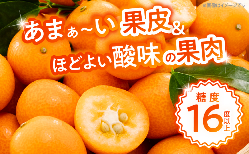 ã1é±é以å
çºéããŽããŠããã® å®®åŽ å®ç ãããã çŽ550g(èš35ç) æééå® ãã«ãŒã æç© ãã ãã® éæ ææ© éæ ãã³ã«ã³ åœç£ é£å äººæ° ãããã ã®ãã èŽãç© èŽç ãããåã ã瀌 æ°é®® ç£å°çŽé é«ç³åºŠ çã éžã¹ã å®®åŽç æ¥ååž éæç¡æ_ZW2-25