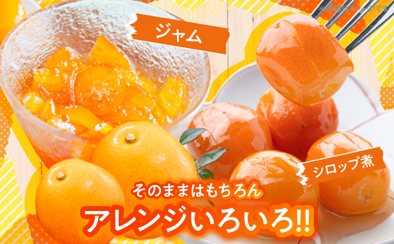 ã1é±é以å
çºéããŽããŠããã® å®®åŽ å®ç ãããã çŽ550g(èš35ç) æééå® ãã«ãŒã æç© ãã ãã® éæ ææ© éæ ãã³ã«ã³ åœç£ é£å äººæ° ãããã ã®ãã èŽãç© èŽç ãããåã ã瀌 æ°é®® ç£å°çŽé é«ç³åºŠ çã éžã¹ã å®®åŽç æ¥ååž éæç¡æ_ZW2-25