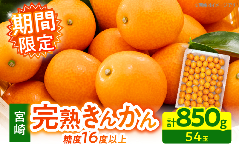 【1週間以内発送】ゴトウさんの 宮崎 完熟 きんかん 約850g(計54玉) 期間限定 フルーツ 果物 くだもの 金柑 柑橘 青果 キンカン 国産 食品 人気 おすすめ ギフト 贈り物 贈答 おすそ分け お礼 新鮮 産地直送 高糖度 甘い 選べる 宮崎県 日南市 送料無料_ZX12-25