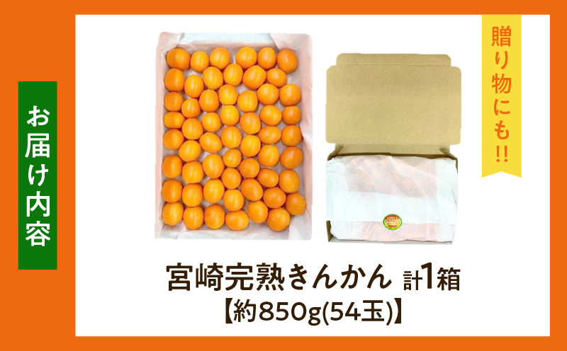 【1週間以内発送】ゴトウさんの 宮崎 完熟 きんかん 約850g(計54玉) 期間限定 フルーツ 果物 くだもの 金柑 柑橘 青果 キンカン 国産 食品 人気 おすすめ ギフト 贈り物 贈答 おすそ分け お礼 新鮮 産地直送 高糖度 甘い 選べる 宮崎県 日南市 送料無料_ZX12-25
