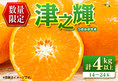 先行予約 津之輝 つのかがやき 4kg以上 (2kg×2箱) 希少 期間限定 数量限定 フルーツ 果物 くだもの 柑橘 みかん 令和8年発送 国産 食品 おすすめ デザート おやつ みかんジュース フルーツサンド ギフト 贈り物 贈答 おすそ分け 宮崎県 日南市 送料無料_BD92-24