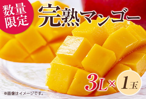 数量限定 完熟マンゴー 3L×1玉 フルーツ 果物 くだもの 国産 期間限定 先行予約 食品 デザート おやつ 人気 おすすめ おすそ分け ご褒美 お祝 お取り寄せ グルメ 産地直送 お土産 ギフト プレゼント 贈り物 贈答品 宮崎県 日南市 送料無料_C166-26