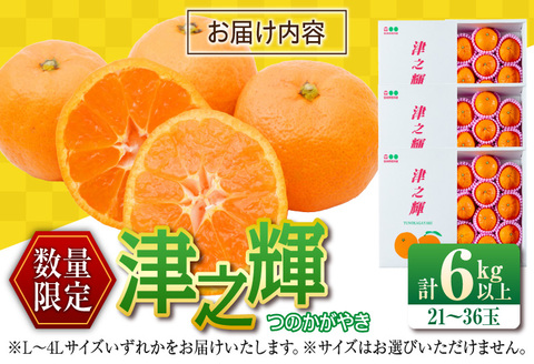 先行予約 津之輝 つのかがやき 6kg以上 (2kg×3箱) 希少 期間限定 数量限定 フルーツ 果物 くだもの 柑橘 みかん 令和8年発送 国産 食品 おすすめ デザート おやつ みかんジュース フルーツサンド ギフト 贈り物 贈答 おすそ分け 宮崎県 日南市 送料無料_D90-24
