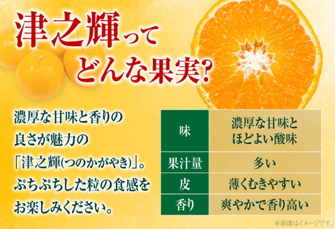 å
è¡äºçŽ æŽ¥ä¹èŒ ã€ã®ãããã 2kgä»¥äž (2kgÃ1ç®±) åžå° æééå® æ°ééå® ãã«ãŒã æç© ãã ãã® ææ© ã¿ãã 什å8幎çºé åœç£ é£å ãããã ãã¶ãŒã ãã〠ã¿ãããžã¥ãŒã¹ ãã«ãŒããµã³ã ã®ãã èŽãç© èŽç ãããåã å®®åŽç æ¥ååž éæç¡æ_A79-23