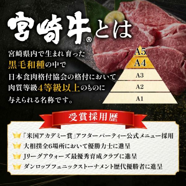 【A4等級以上】宮崎牛サーロインステーキ 200g×3枚 （宮崎牛 黒毛和牛 A4 A5 牛肉 霜降り サーロイン ロース ステーキ 内閣総理大臣賞4大会連続受賞）