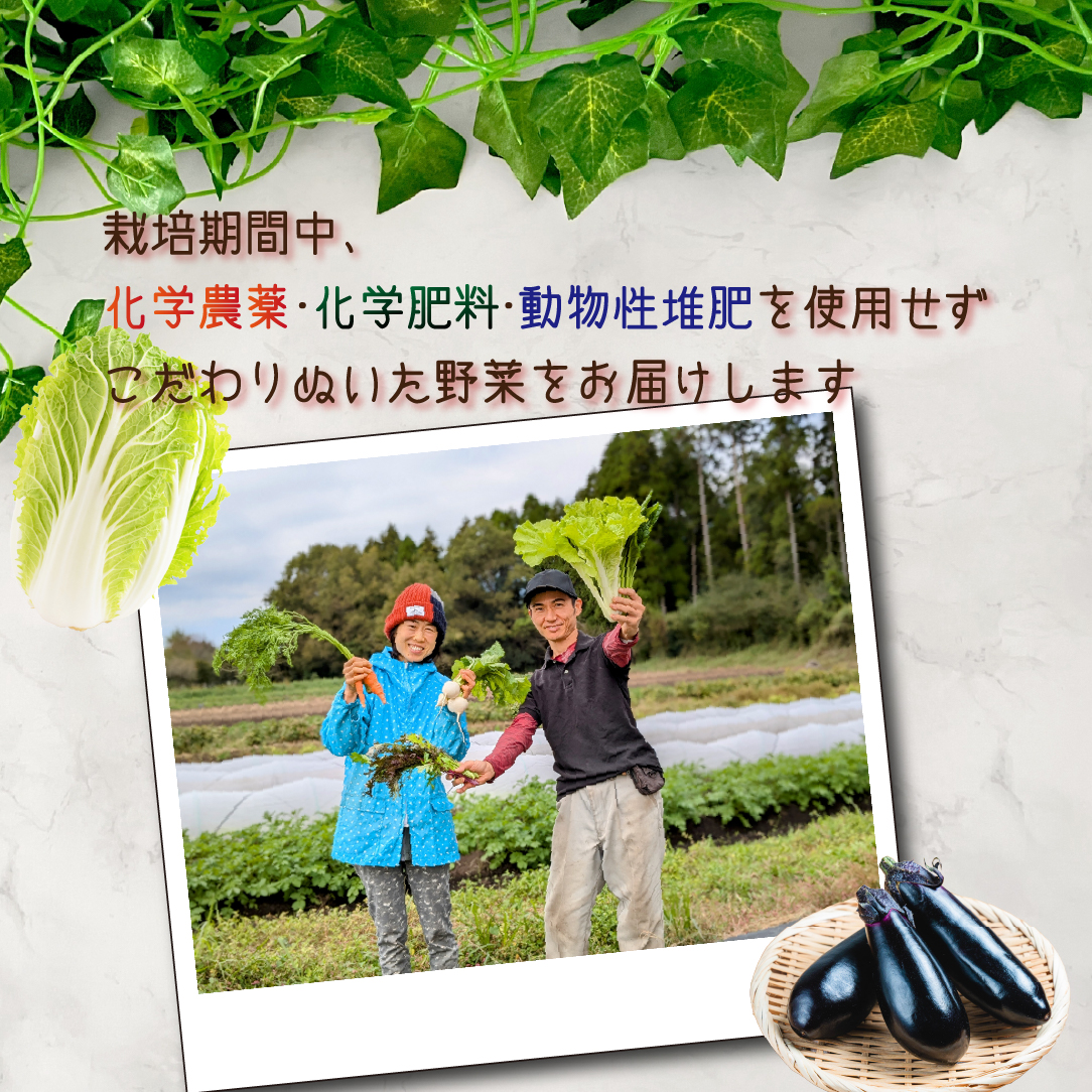 縲仙ョ壽悄萓ソ 蜈ィ6蝗槭大ュ」遽縺ョ驥手除隧ー繧∝粋繧上○繧サ繝繝茨シ域眠魄ョ 謗。繧後◆縺ヲ 驥手除 繧サ繝繝 螳壽悄萓ソ 隧ー繧∝粋繧上○ 螳ョ蟠守恁シ
