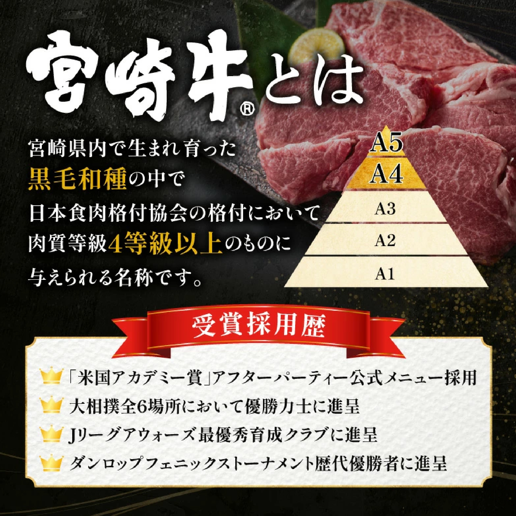 【A4等級以上】宮崎牛ヒレステーキ4枚 600g（内閣総理大臣賞 A4 A5 宮崎牛 牛肉 黒毛和牛 ヒレ フィレ ステーキ 赤身 宮崎県）