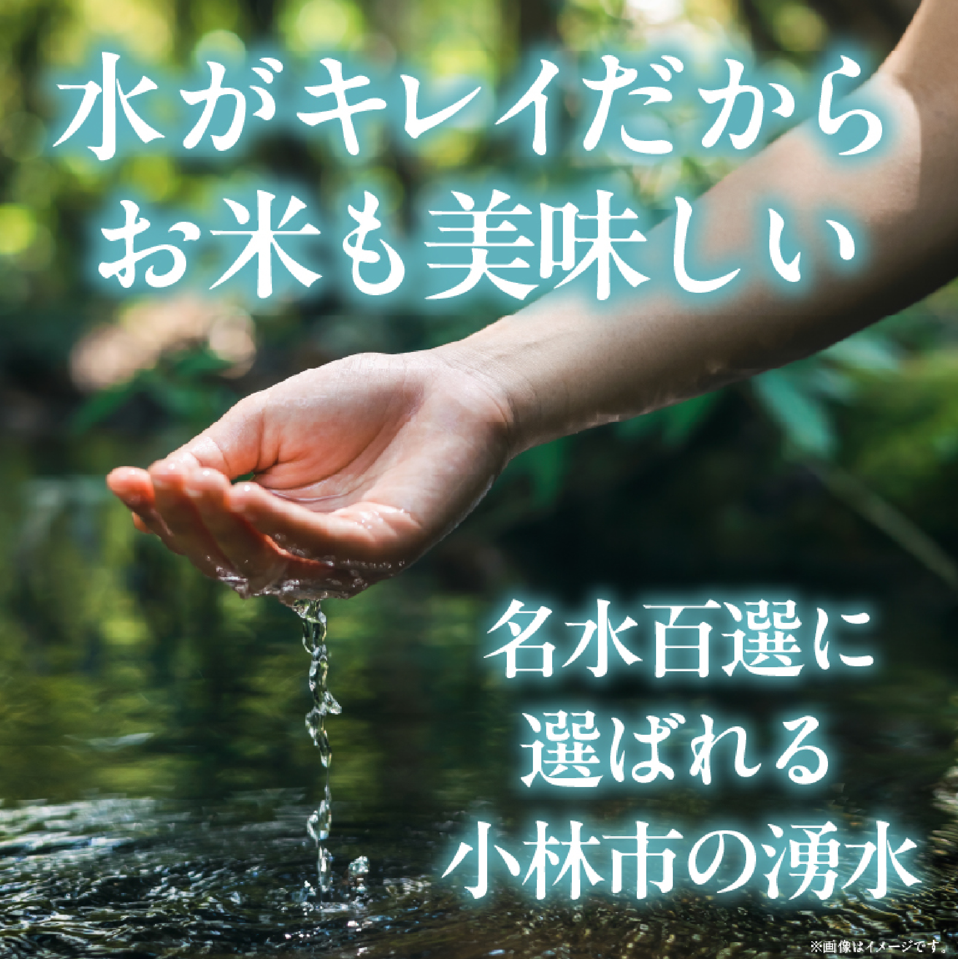 縲仙ョ壽悄萓ソ 蜈ィ12蝗槭台サ、蜥7蟷エ逕」邀ウ 繝偵ヮ繝偵き繝ェ 5kgテ12蝗 險60kgシ医♀邀ウ 邀ウ 縺イ縺ョ縺イ縺九j 蝗ス逕」 莠コ豌 縺雁シ∝ス 螳壽悄萓ソ 螳ョ蟠守恁 蟆乗棊蟶ゑシ