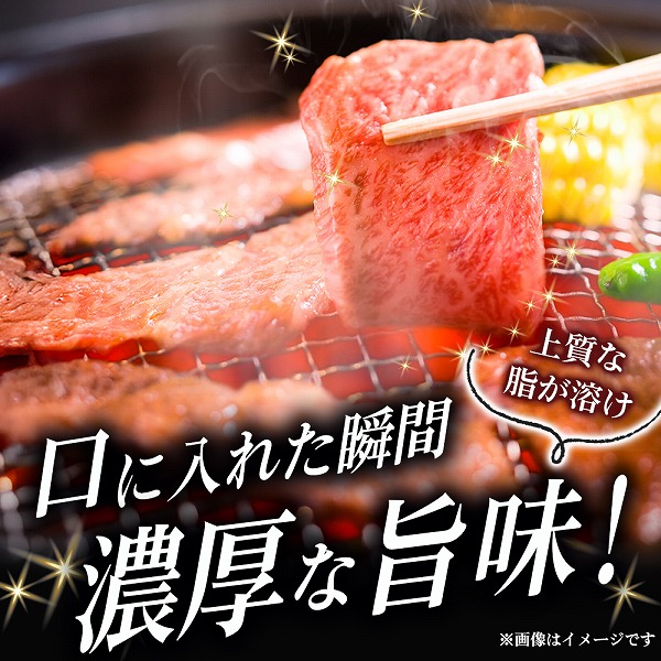 【A5等級】宮崎牛特選霜降り焼肉 800g（400g×2P） 宮崎牛 ブランド牛 和牛 牛肉 焼肉 特選和牛 霜降り A5 宮崎県 小林市