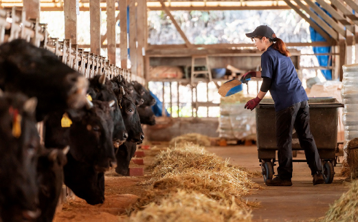 ãèªç€Ÿç§å Žåçãå°æåžç£ 黿¯åç 赀身ã¹ããŒã 200gÃ3æïŒçè åœç£ç 黿¯åç åç 赀身 ã¹ããŒãïŒ