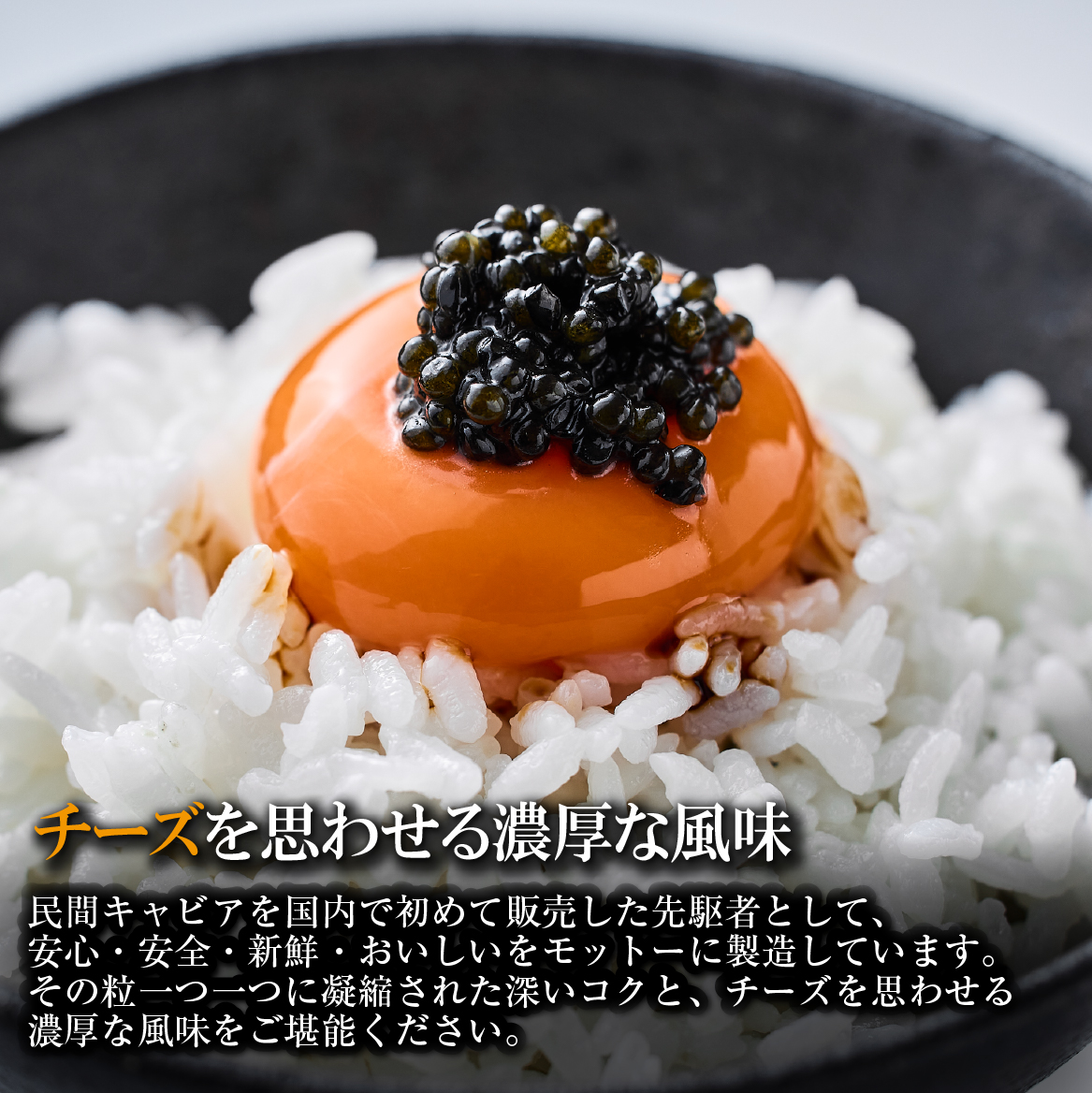 縲千エ泌嵜逕」繧ュ繝」繝薙い縲代帙Ρ繧、繝医せ繧ソ繝シ繧ク繝ァ繝ウ繧ュ繝」繝薙い 100g 逧蟶昴ョ豸 蝗ス逕」 繝√Ι繧ヲ繧カ繝。 鬲壼嵯 螳ョ蟠守恁 螳ョ蟠 蟆乗棊蟶