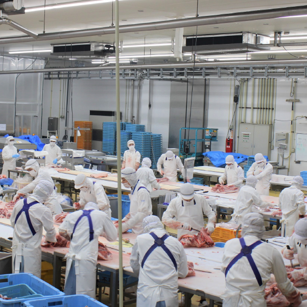 【数量限定】九州産 豚バラ スライス 8kg（ 国産 豚 豚肉 豚バラ しゃぶしゃぶ 小分け バラ 大容量 冷凍 ）