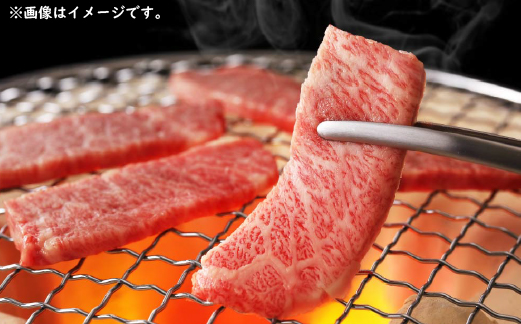 【生産者直送】なかにし和牛赤身焼肉 -上-（黒毛和牛 小林市産 国産 牛肉 和牛 赤身 焼肉 産地直送 送料無料）