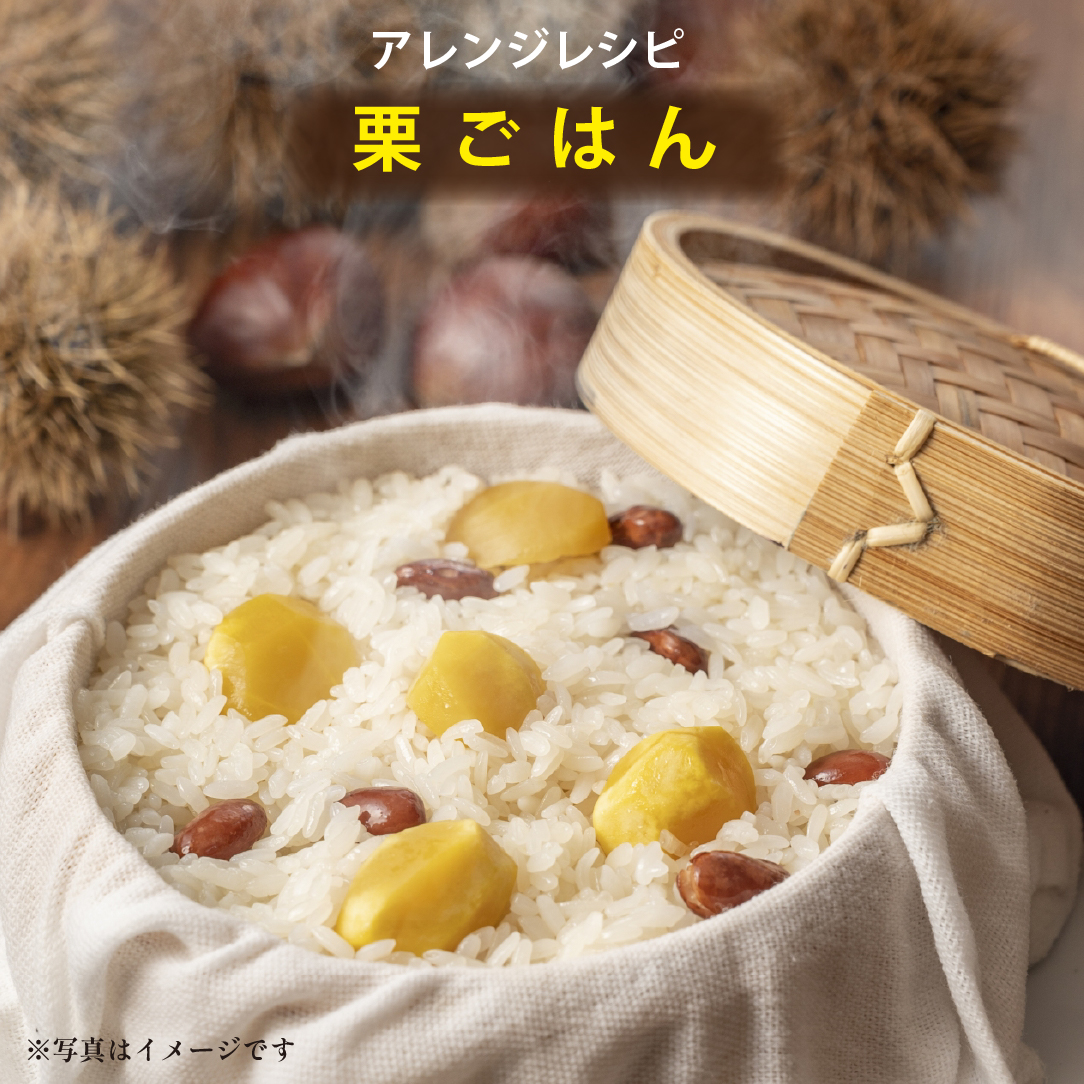 【低温熟成】ブランド栗「須木栗」3Lサイズ 1kg程度（生栗 マロン 栗 熟成 果物 フルーツ 限定 秋 旬）