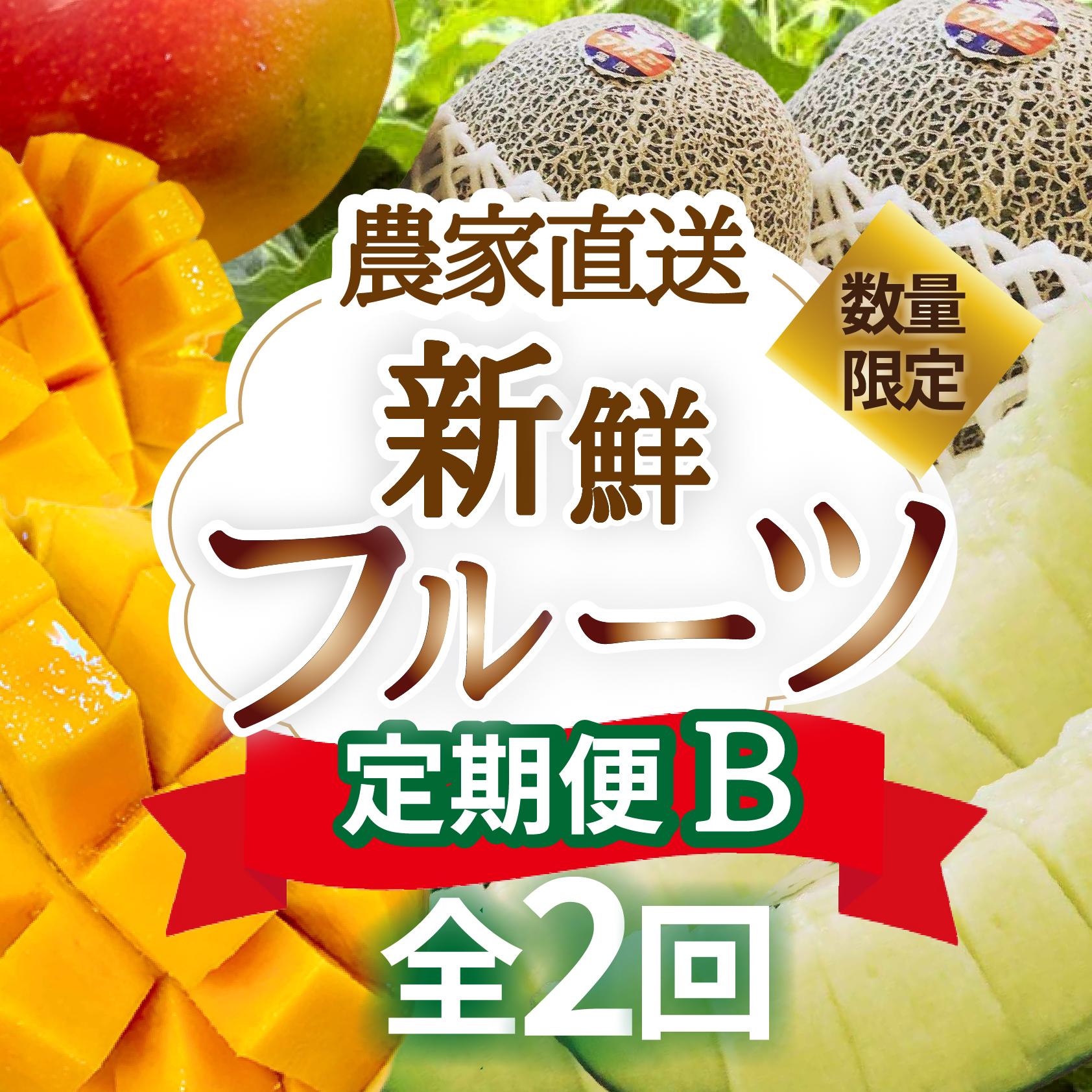 【定期便2回】契約農家直送の新鮮フルーツ定期便B（マンゴー アップルマンゴー メロン フルーツ 果物 くだもの 宮崎県 宮崎 定期便）