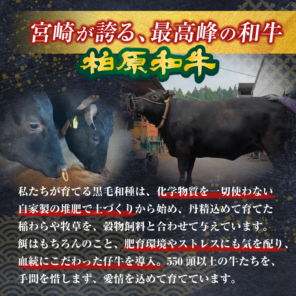 【自社農場和牛】黒毛和牛 特製塩だれ白ホルモン 900g（国産 黒毛和牛 宮崎牛 牛肉 塩だれ ホルモン 白ホルモン 冷凍 宮崎県 小林市）