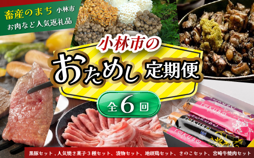 【定期便・全6回】小林市おためし定期便コース（国産 牛肉 国産牛 和牛 黒毛和牛 豚肉 鶏肉 お菓子 定期便）