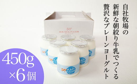 	【牧場直送】素材にこだわった朝搾り牛乳のヨーグルトセット（乳製品 生乳 牛乳 ヨーグルト 小分け 人気 地域限定 宮崎 小林市）