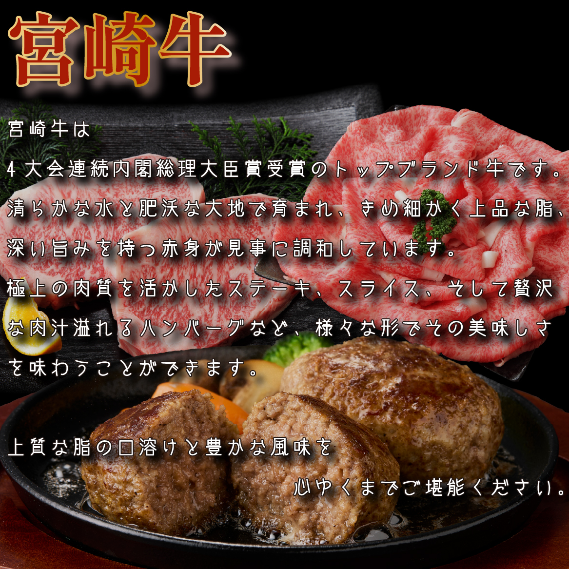 【定期便・全12回】日本一宮崎牛と小林市の魅力満載!!!!小林満足スペシャル定期便 50万円コース（国産 牛肉 国産牛 和牛 黒毛和牛 キャビア シャインマスカット マンゴー 完熟マンゴー フルーツ 果実 くだもの 豚肉 鶏肉 定期便）