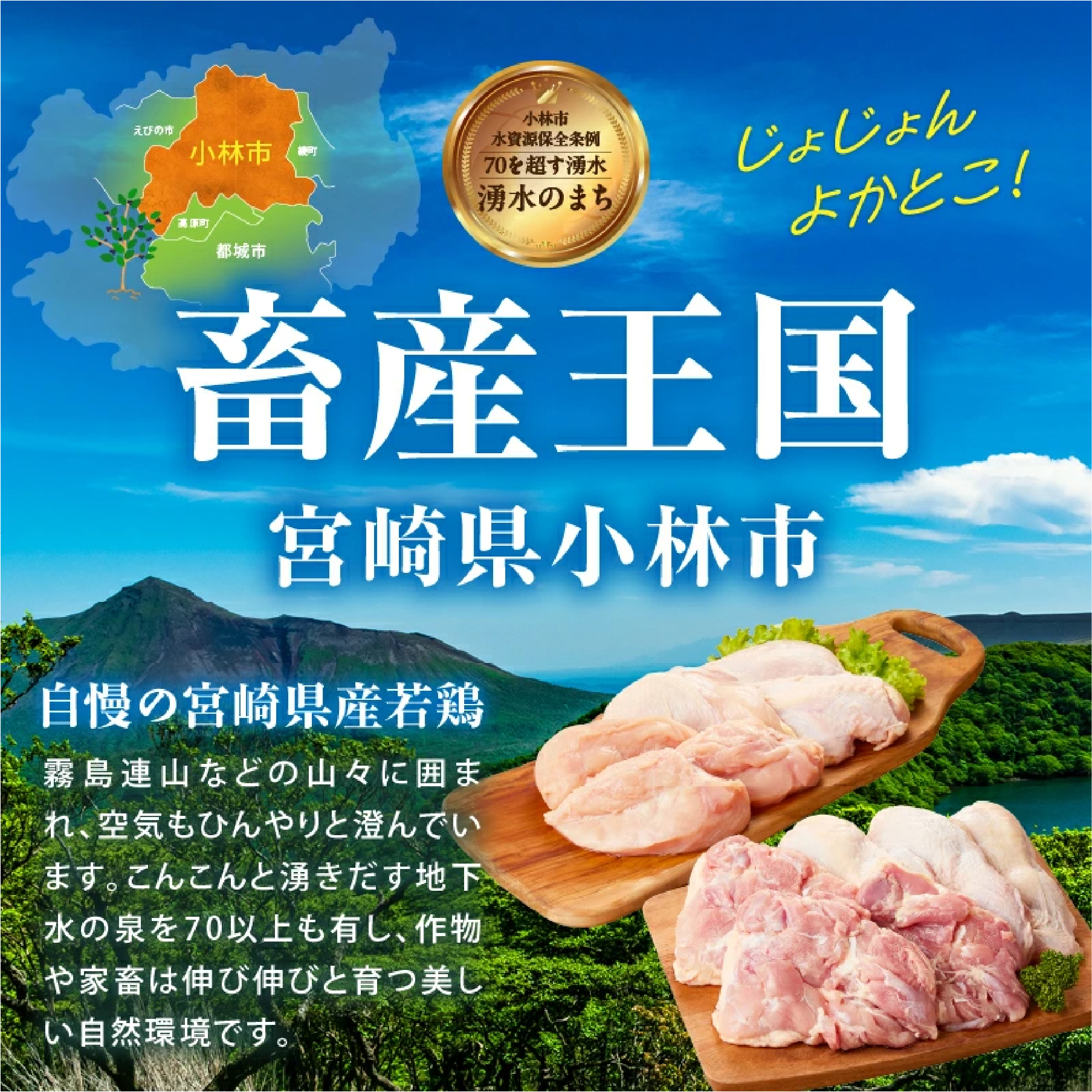 【業務用】宮崎県産若鶏もも・むねセット 計4kg（国産 鶏肉 鶏 お肉 若鶏 鶏モモ 鶏ムネ モモ ムネ 切り身）