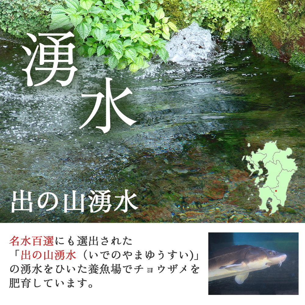 【純国産キャビア】ロイヤルシベリアンキャビア 40g 皇帝の涙 国産 チョウザメ 魚卵 宮崎県