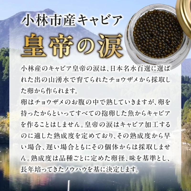 【純国産キャビア】オシェトラキャビア 100g 皇帝の涙 国産 チョウザメ 魚卵 宮崎県 小林市