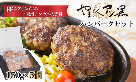 やまちくアン黒ハンバーグセット<5個入り：山之口畜産>