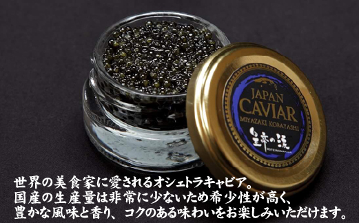 【日本のキャビアの日制定記念】皇帝の涙 オシェトラ キャビア 100g（国産 魚卵 魚介 フレッシュ おつまみ 珍味 冷凍）