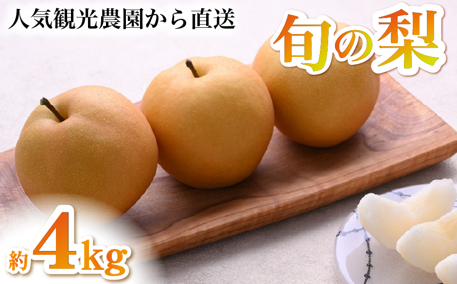 【2026年発送 先行予約】旬の梨詰め合わせ 4kg（梨 なし ナシ 果物 フルーツ 2026 先行受付 限定）