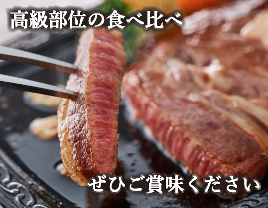 【1月1日から寄附額改定】【A4等級以上】黒毛和牛ステーキ肉高級部位２種＜リブロース・サーロイン＞食べ比べ（計900ｇ）国産 黒毛和牛 牛肉 ステーキ 食べ比べ