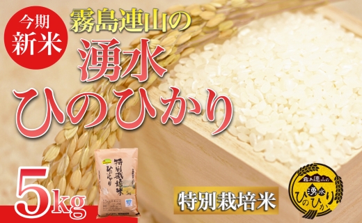 【令和6年産 新米】霧島連山の湧水ヒノヒカリ 特別栽培米 5kg（国産 米 新米 令和6年新米 精米済み 特栽米 ヒノヒカリ）