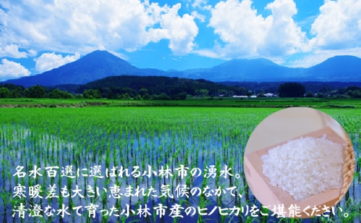 【令和6年産 新米】霧島連山の湧水ヒノヒカリ 10kg（国産 米 新米 令和6年新米 精米済み ヒノヒカリ）