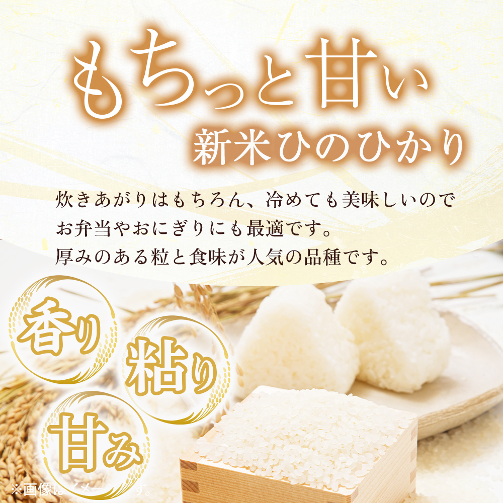 【定期便 全3回】令和7年産米 無洗米ヒノヒカリ 5kg×3回 計15kg（お米 米 新米 ヒノヒカリ 無洗米 国産 人気 お弁当 宮崎県 小林市）