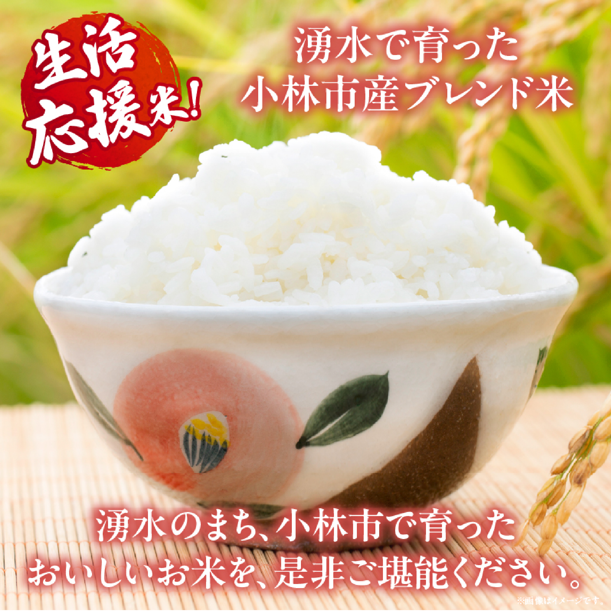 【生活応援米】湧水で育った小林市産ブレンド米 20kg（5kg×4袋 お米 米 ブレンド米 白米 精米 家庭用）