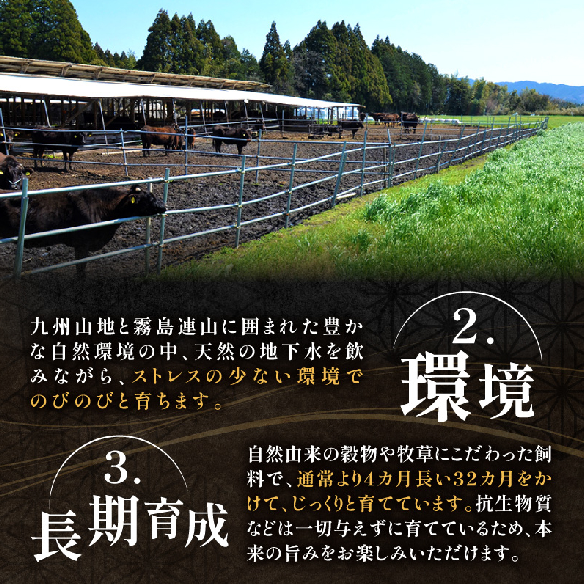 【DAS001・宮崎県産黒毛和牛100％】黒毛和牛専門店の贅沢ハンバーグ（計10個）（ふるさと納税 訳あり 国産 牛肉 黒毛和牛 ハンバーグ 冷凍 特別提供 送料無料）