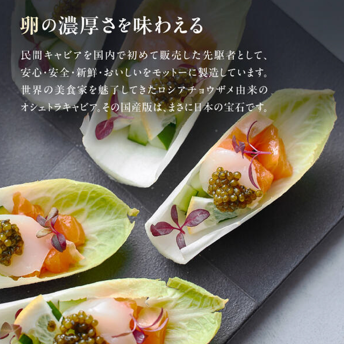 【純国産キャビア】オシェトラキャビア 20g 皇帝の涙 国産 チョウザメ 魚卵 宮崎県