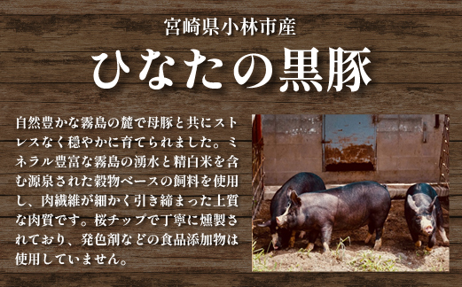 【地元ブランド豚使用】桜ベーコン 粗挽き黒胡椒厚切りスライスタイプ（黒豚 豚肉 ベーコン 燻製）