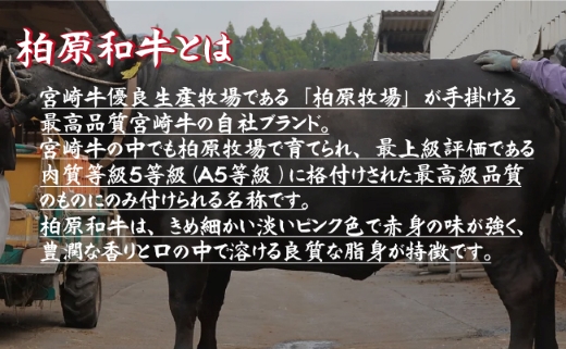 【自社農場宮崎牛】柏原和牛焼肉・特選カルビ　1キロ