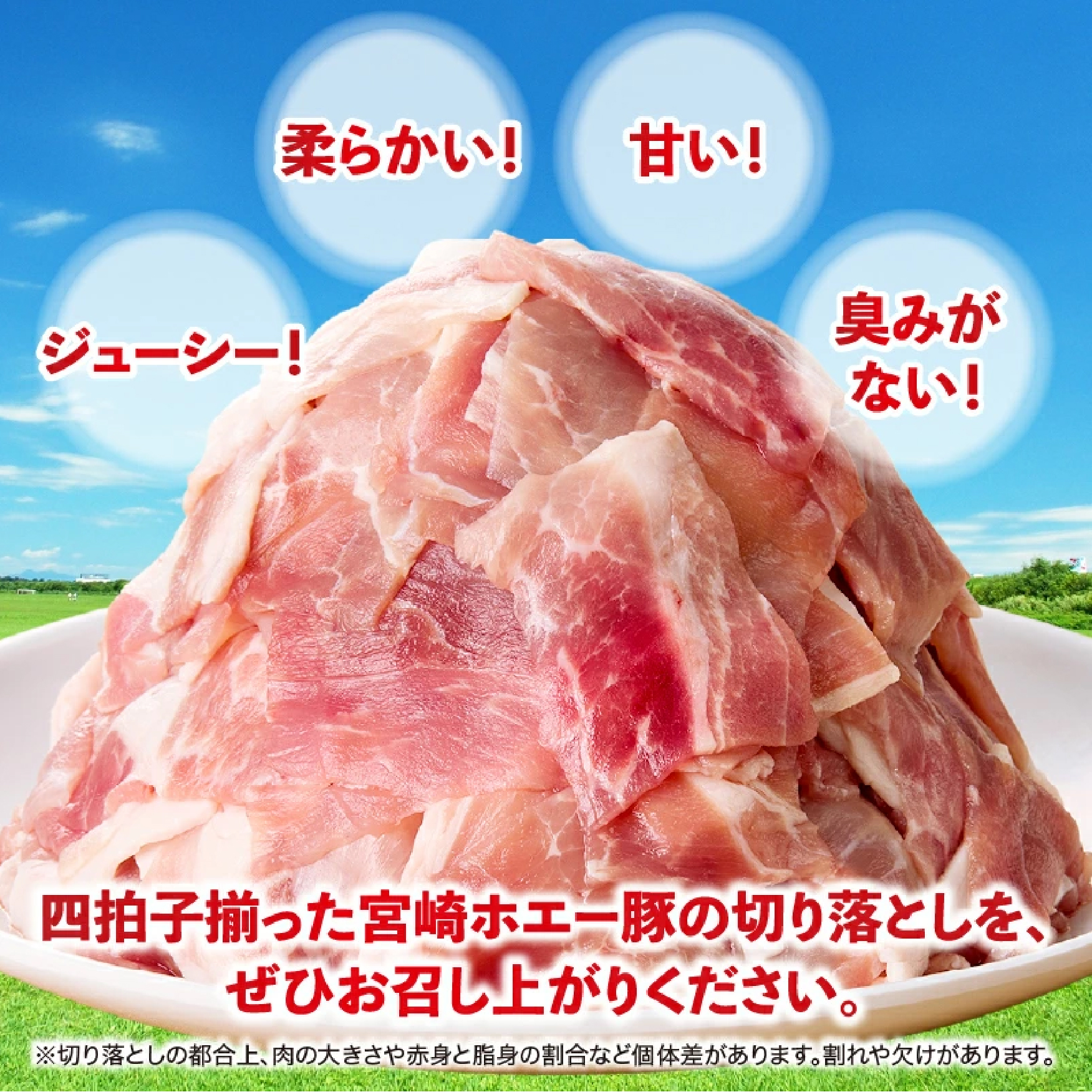 【人気返礼品】ホエー豚 切り落とし 3.6kg（豚肉 豚 切り落とし こま切れ 小間切れ 小分け しゃぶしゃぶ）